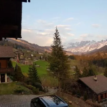Chalet Wolfsgruebli Apartmán *