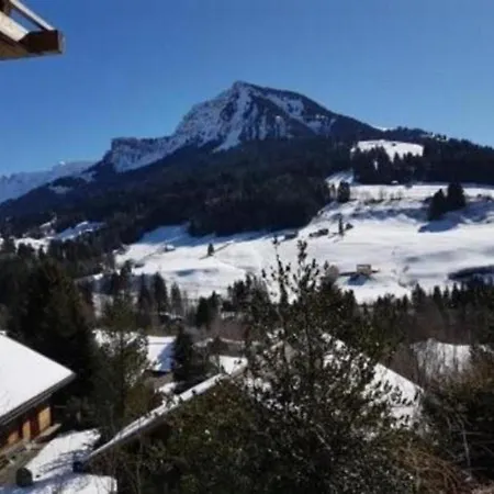 Apartmán Chalet Wolfsgruebli